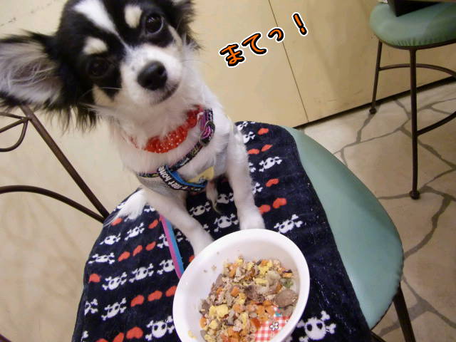 ¥Õ¥¡¥¤¥ë0028.jpg