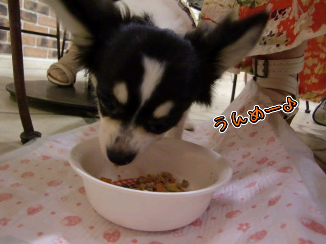 ¥Õ¥¡¥¤¥ë0033.jpg