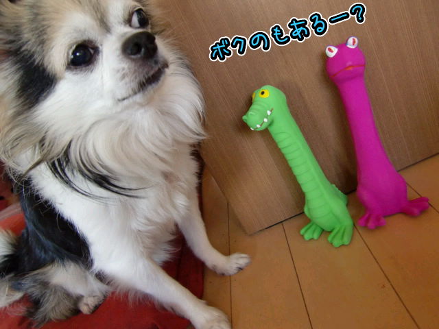 ¥Õ¥¡¥¤¥ë0025.jpg