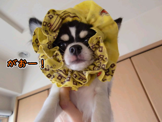 ¥Õ¥¡¥¤¥ë0028.jpg