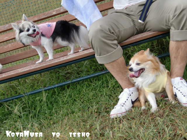 ¥Õ¥¡¥¤¥ë0033.jpg