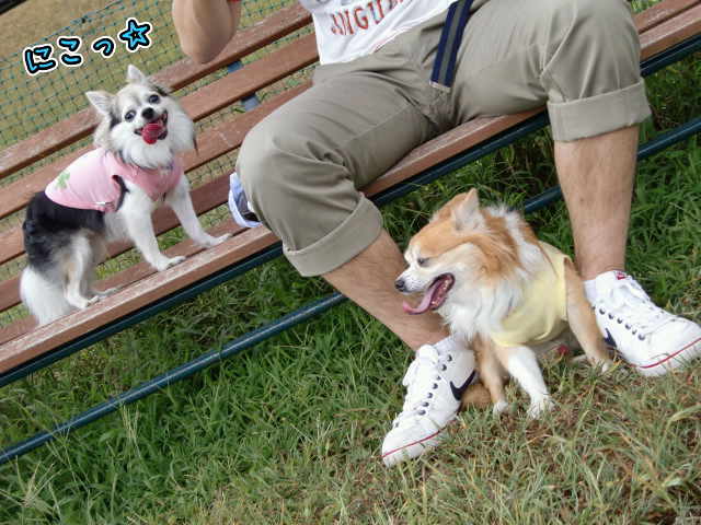 ¥Õ¥¡¥¤¥ë0034.jpg
