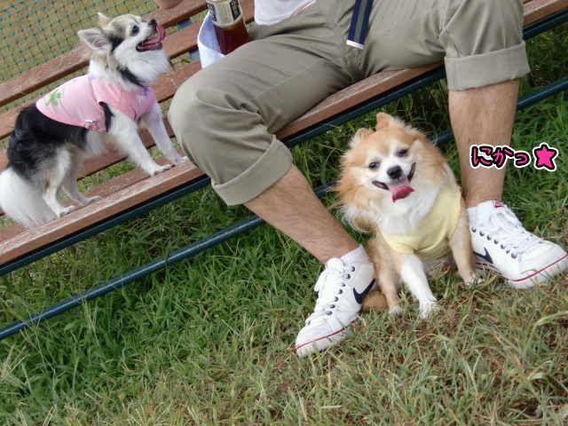 ¥Õ¥¡¥¤¥ë0035.jpg