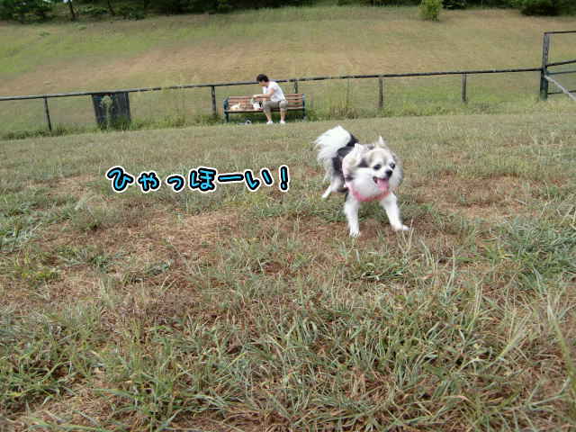 ¥Õ¥¡¥¤¥ë0038.jpg