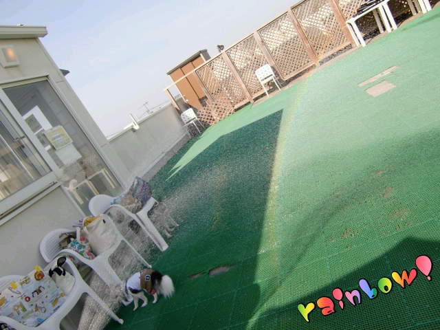 ¥Õ¥¡¥¤¥ë0025.jpg