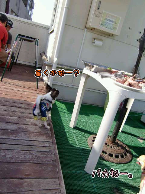 ¥Õ¥¡¥¤¥ë0035.jpg