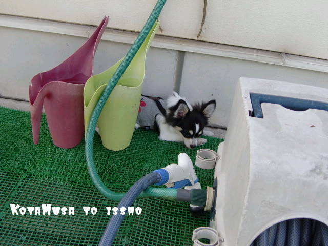 ¥Õ¥¡¥¤¥ë0024.jpg