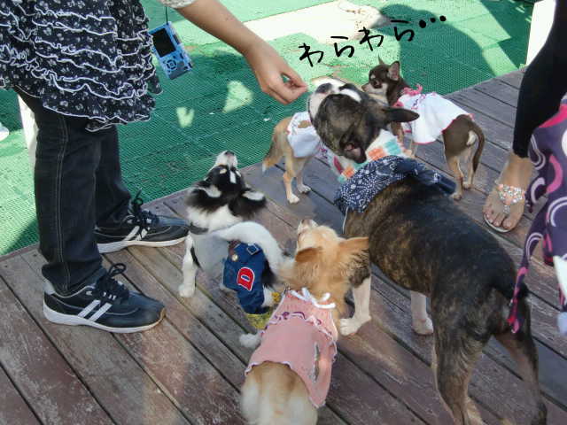¥Õ¥¡¥¤¥ë0026.jpg