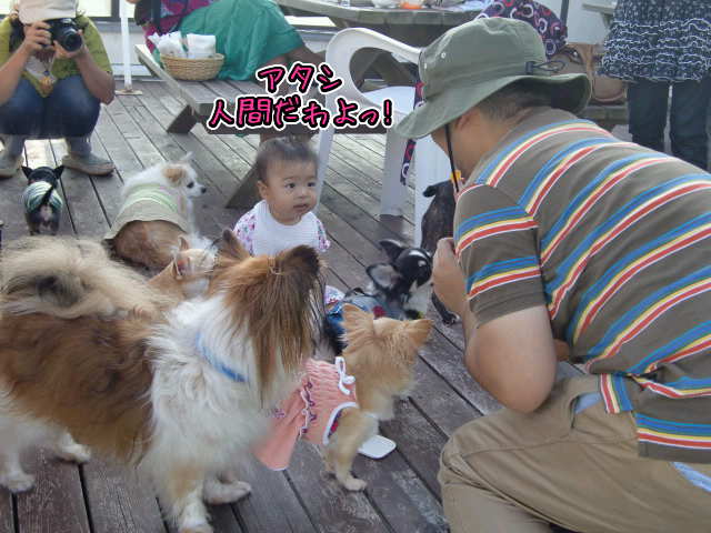 ¥Õ¥¡¥¤¥ë0037.jpg
