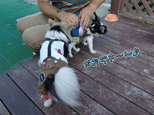 ¥Õ¥¡¥¤¥ë0026.jpg