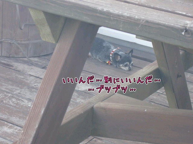 ¥Õ¥¡¥¤¥ë0033.jpg