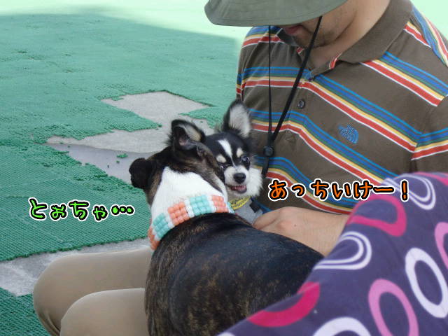 ¥Õ¥¡¥¤¥ë0034.jpg