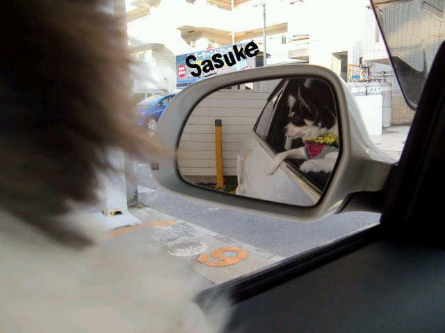 ¥Õ¥¡¥¤¥ë0035.jpg