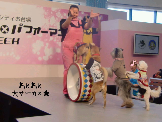 ¥Õ¥¡¥¤¥ë0034.jpg