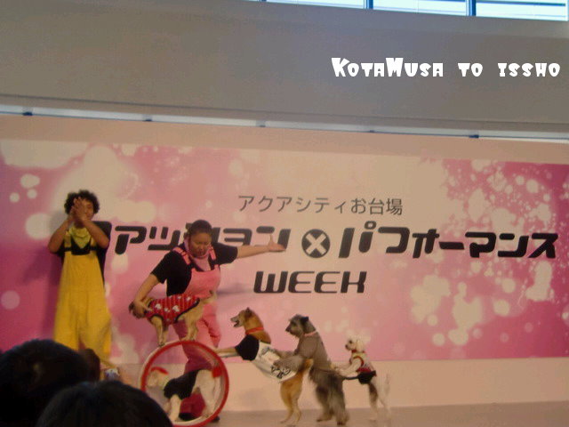 ¥Õ¥¡¥¤¥ë0035.jpg