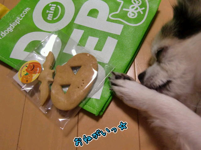 ¥Õ¥¡¥¤¥ë0027.jpg