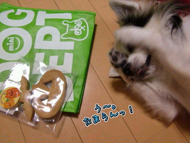 ¥Õ¥¡¥¤¥ë0028.jpg