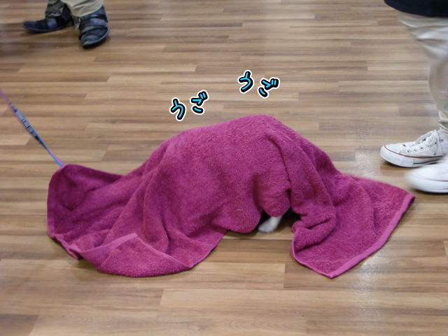 ¥Õ¥¡¥¤¥ë0025.jpg
