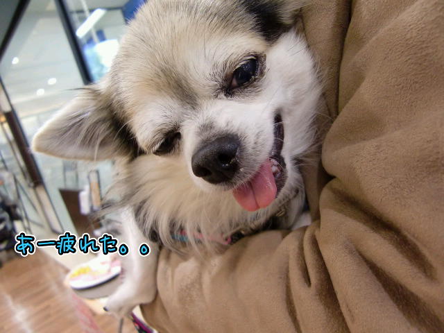 ¥Õ¥¡¥¤¥ë0026.jpg