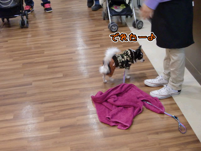 ¥Õ¥¡¥¤¥ë0028.jpg