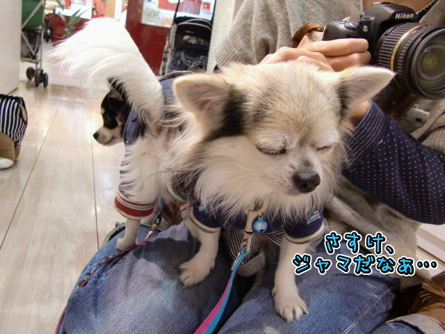 ¥Õ¥¡¥¤¥ë0028.jpg