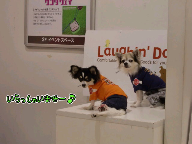 ¥Õ¥¡¥¤¥ë0035.jpg