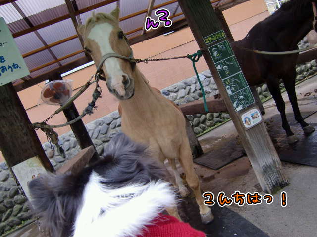 ¥Õ¥¡¥¤¥ë0026.jpg