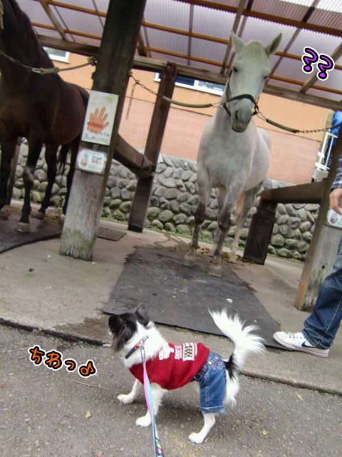 ¥Õ¥¡¥¤¥ë0028.jpg