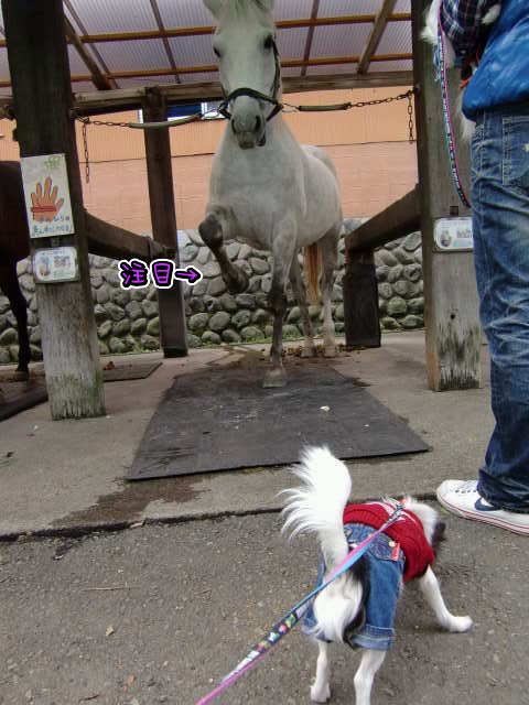 ¥Õ¥¡¥¤¥ë0033.jpg