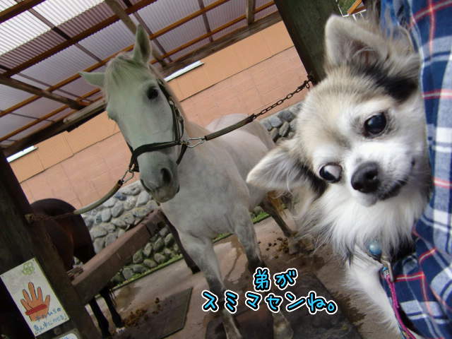 ¥Õ¥¡¥¤¥ë0034.jpg