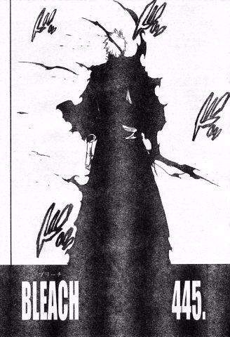 Bleach_445-1.jpg