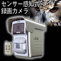 センサー自動撮影 録画カメラ 400ショット C-800