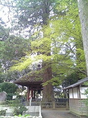 日向薬師