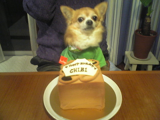 チビ2008年BD