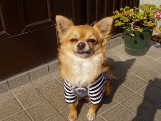 チビ2003年3月