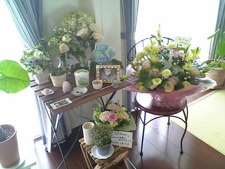 flowers
