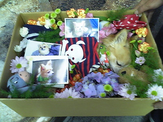 box