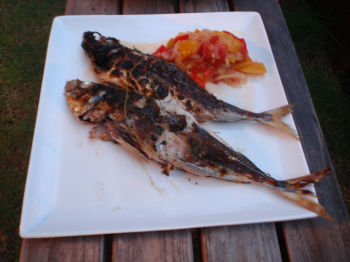 aji0810