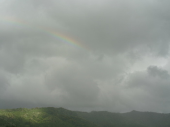 reinbow