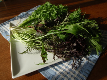 1126g1.jpg