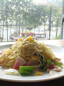 1126p2.jpg