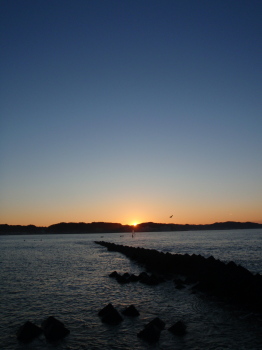 20110101a