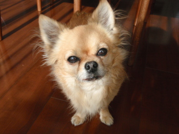 20110109