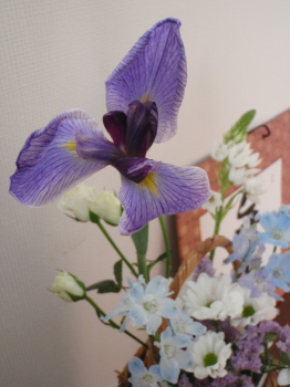 0429f