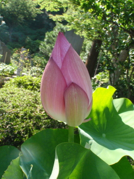 0716d