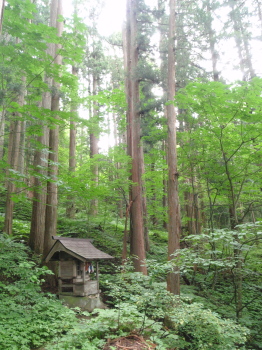 houkou