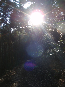 izusan