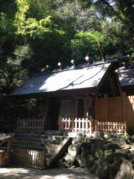 tado