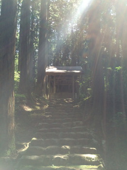 fukui1