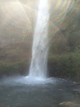 amida2